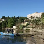 Aegli